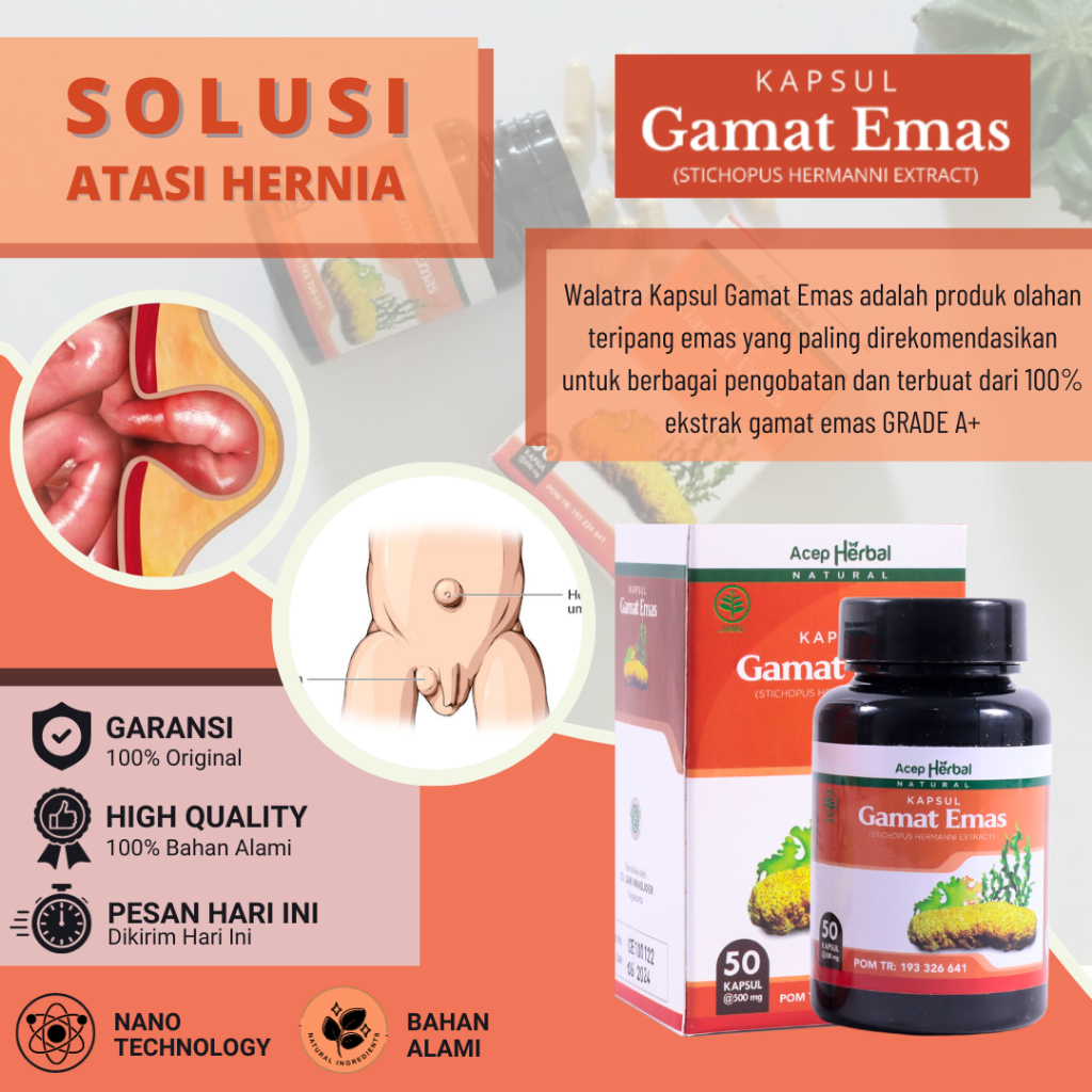 Obat Hernia Turun Berok, Obat Turun Berok Pria, Obat Hernia Turun Berok Turun Peranakan, Obat Buah Z