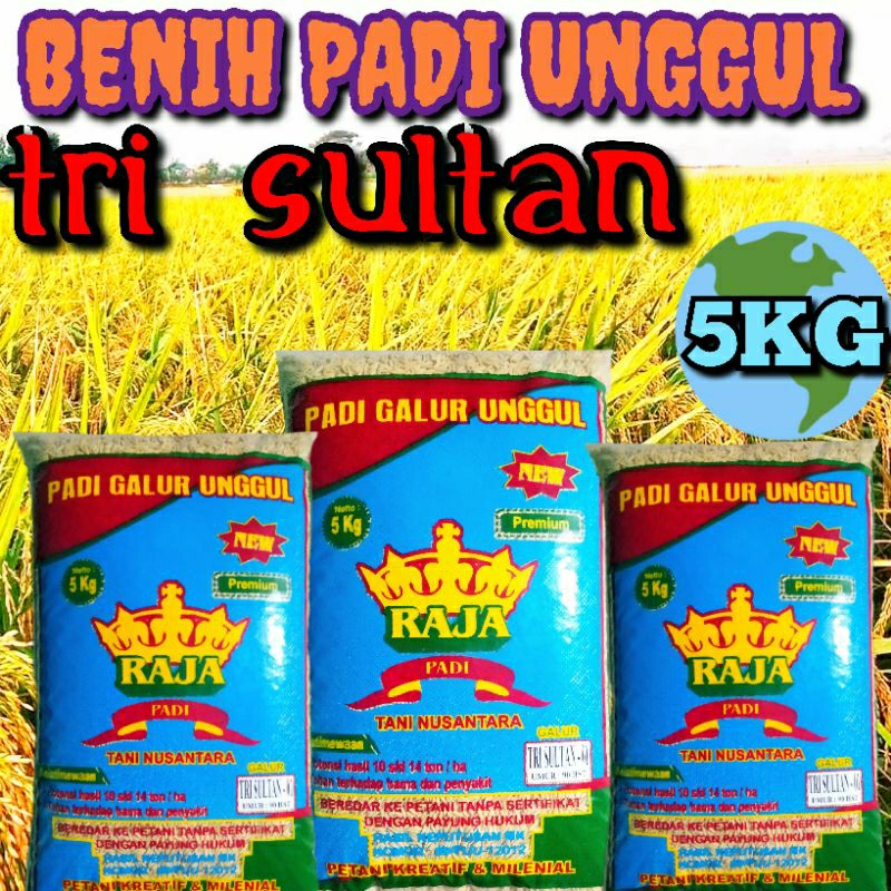 BIBIT PADI UNGGUL TRI SULTAN KUALITAS ORIGINAL KEMASAN 5KG