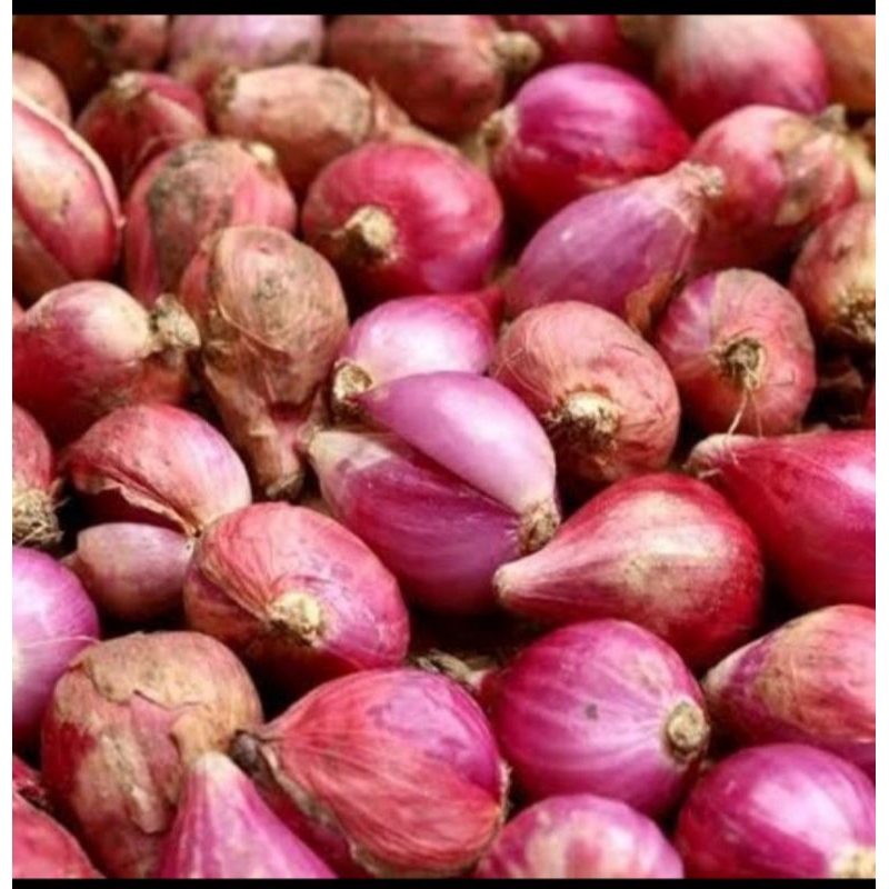 

Bawang merah 500 gr