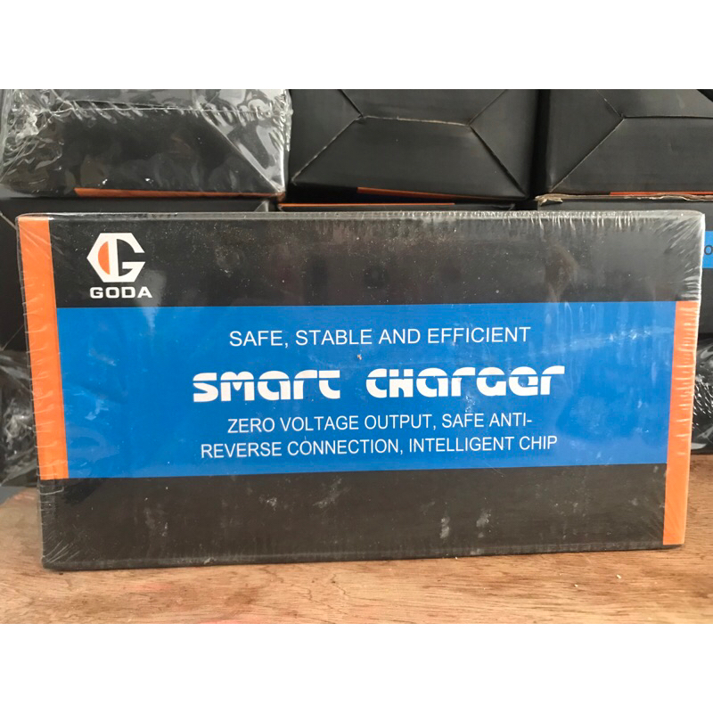 charger sepeda listrik goda