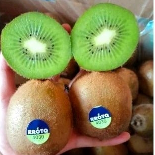 

Buah Kiwi Green/Kiwi Hijau
