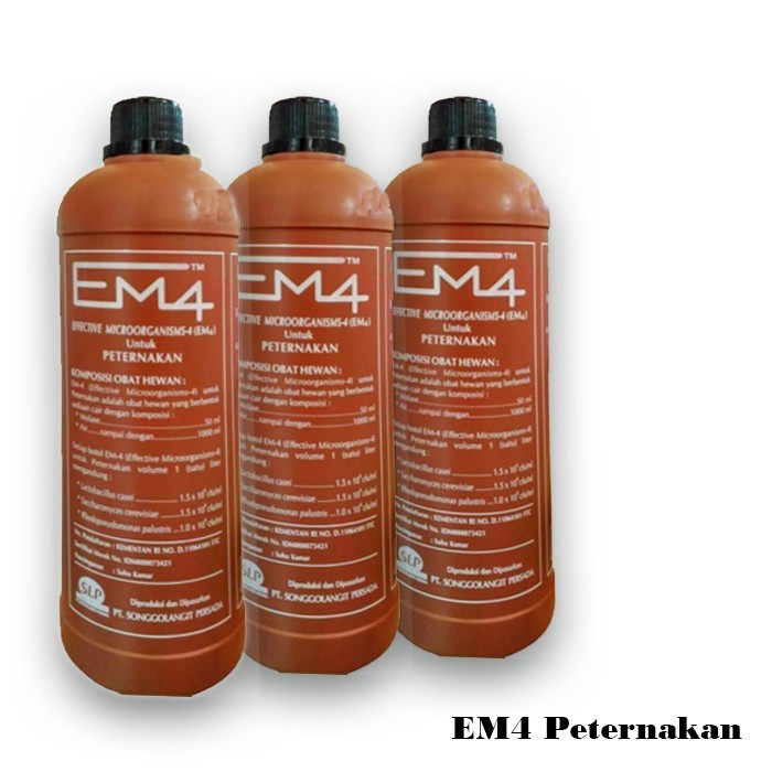 Em4 peternakan fermentasi pakan ternak mikroorganisme