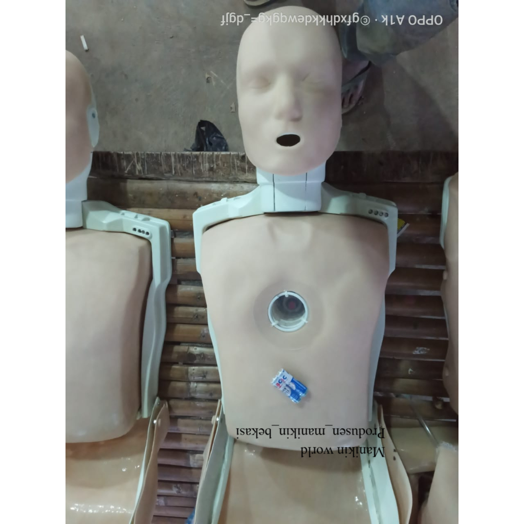 PRESTAN CPR / MANIKIN CPR / MANIKIN CPR / PHANTOM CPR / PRESTAN CPR LOKAL