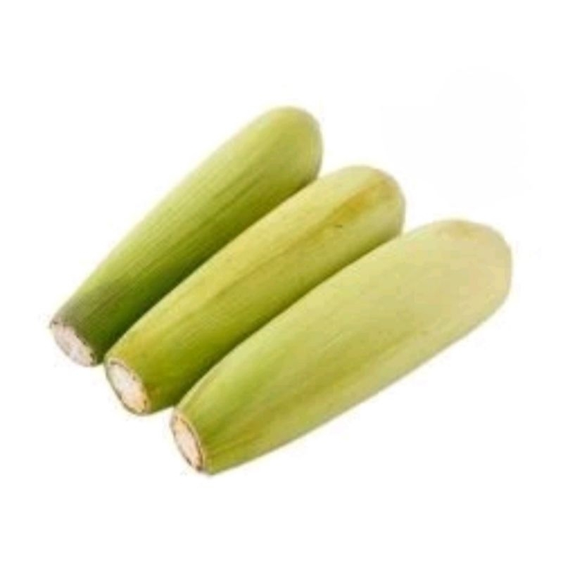 

jagung manis 1 kg/gi send