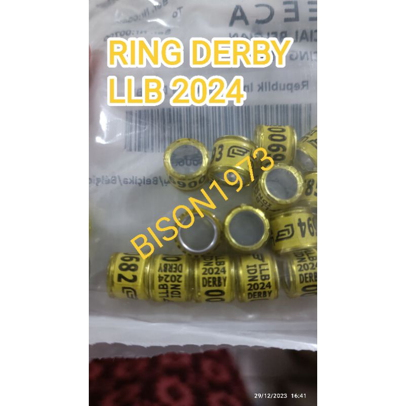 RING DERBY LLB 2024 MERPATI POS/RACING PIGEON