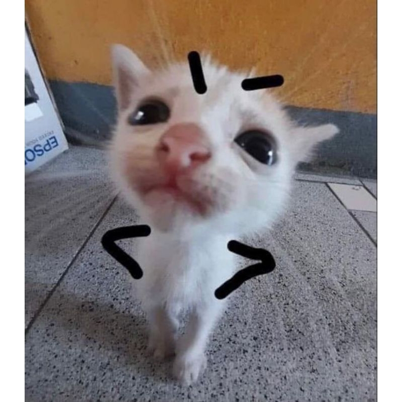 

LINK CO 500Gram (BACA DESKRIPSI)