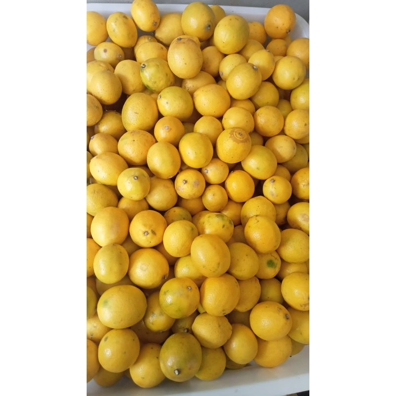 

Lemon 15kg