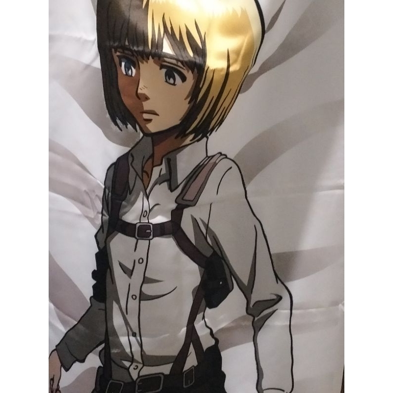 Dakimakura armin