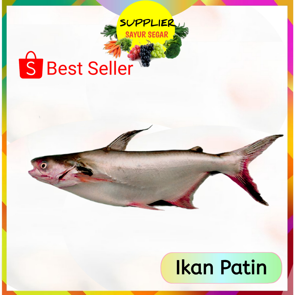 

Ikan Patin Segar Palembang