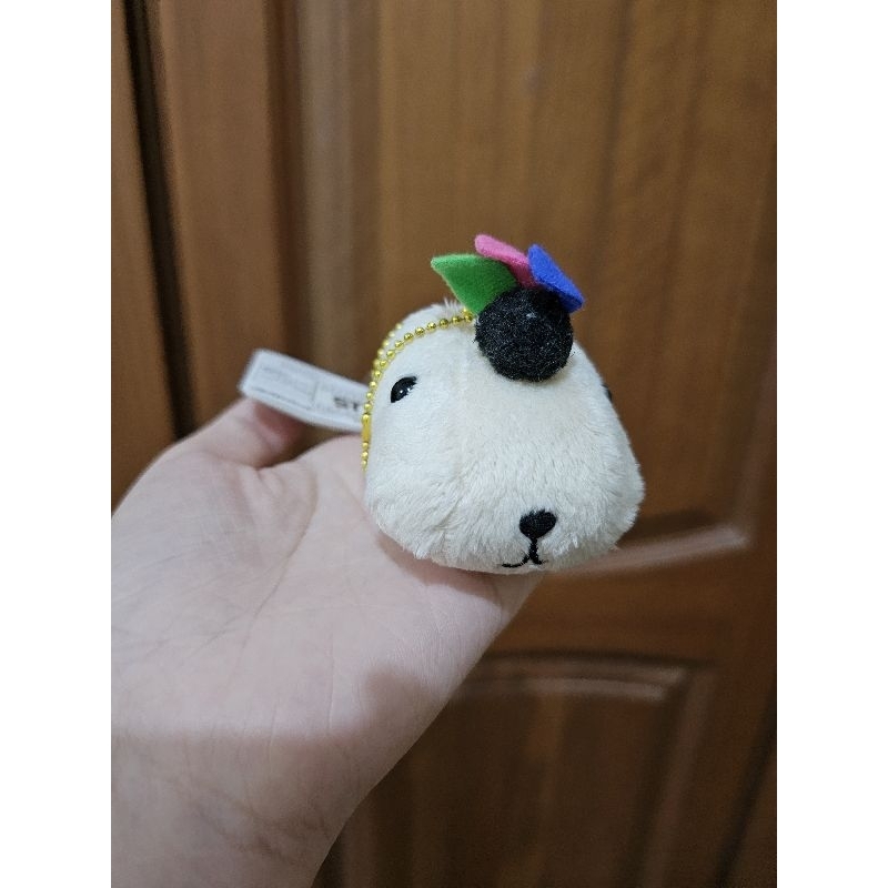 ganci kapibarasan newtag