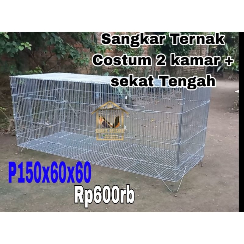 Rumah Hewan iguana Dll