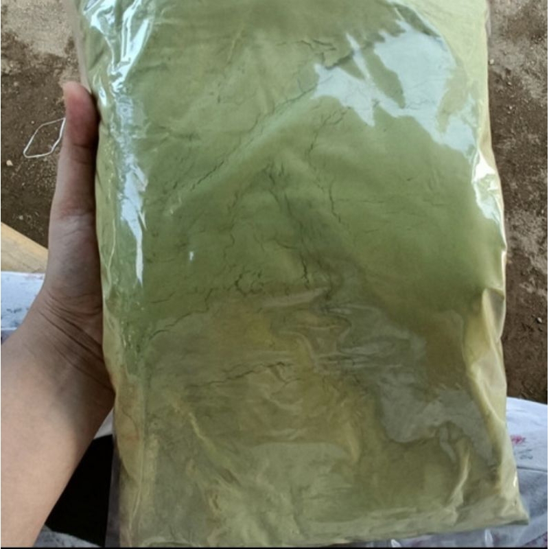 

bubuk daun Ketapang herbal bermanfaat