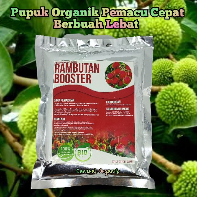Pupuk Pelebat Rambutan Pupuk Booster Perangsang Buah Rambutan Cepat Berbuah Lebat