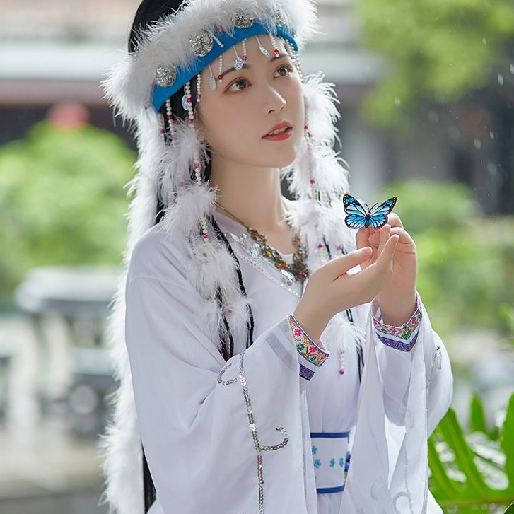 Ancient Costume Adult Hanfu