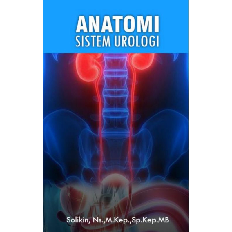 ANATOMI SISTEM UROLOGI