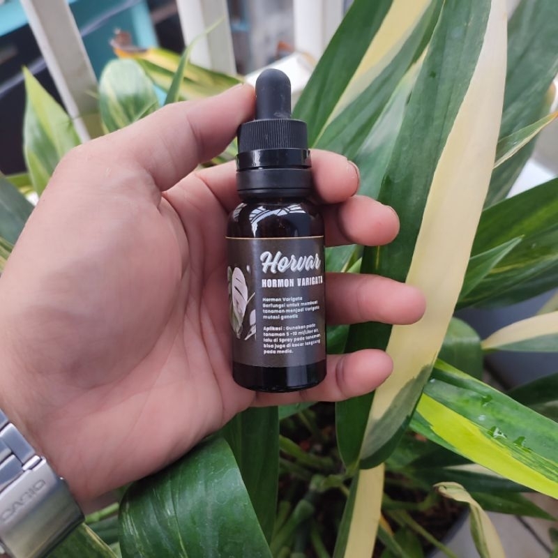 HORMON VARIGATA/HORVAR HORMON MUTASI GENETIK KEMASAN 30 ML