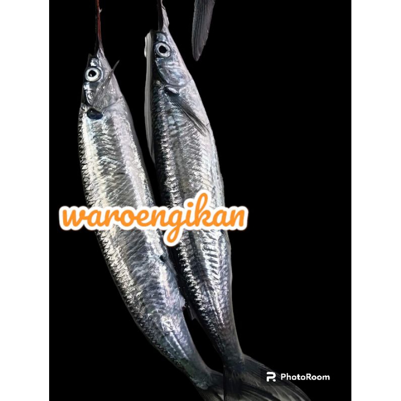 

ikan julung julung segar 1kg hasil laut ikan laut ikan segar