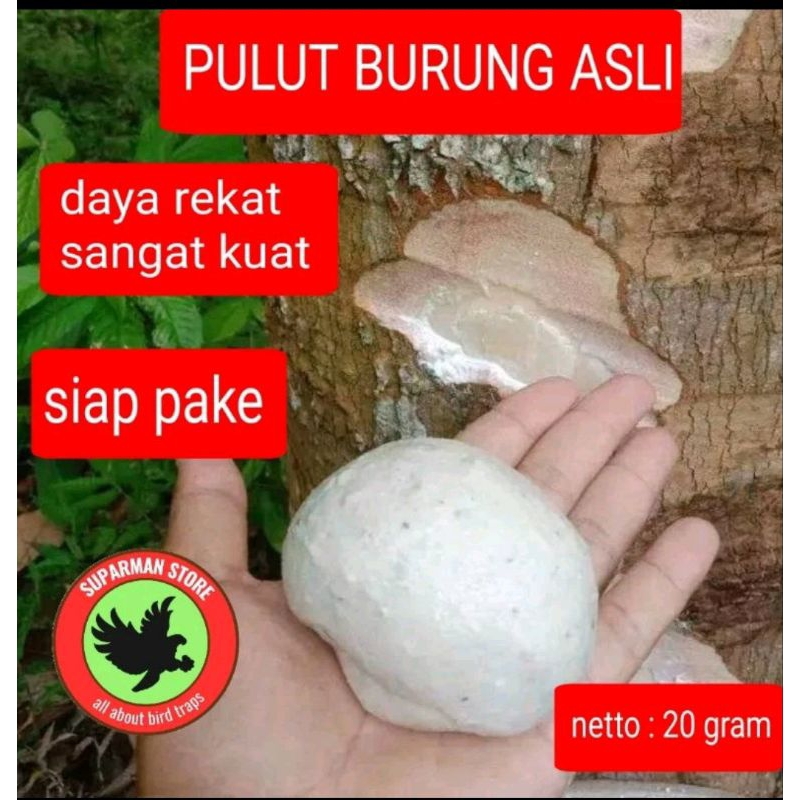 PULUT BURUNG LEM JEBAK BURUNG PULUT JEBAK BURUNG GETAH JEBAK BURUNG GETAH KARET GETAH BENDO PULUT PI