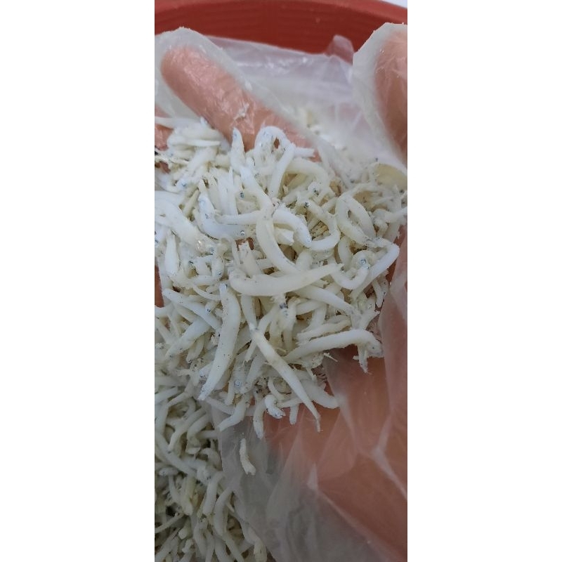 

TERI MEDAN TAUGE SUPER