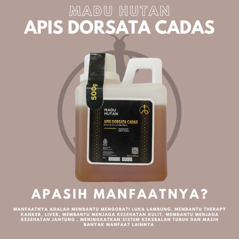 

Madu Apis Dorsata Cadas murni asli