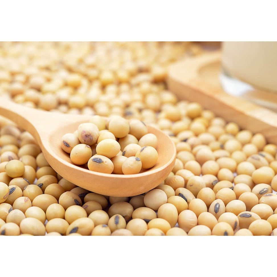 

KODE ER7EZ Soya Kacang Kedelai Super kedelei Soya Bean 1KG