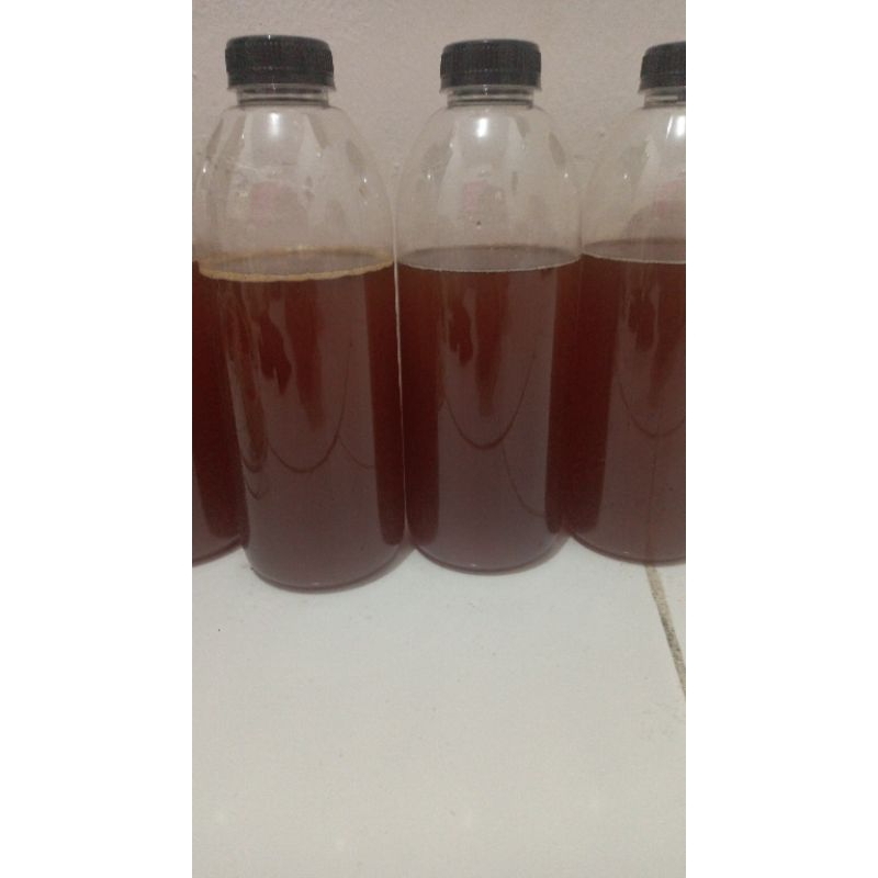 

madu hutan sialang Sumatera