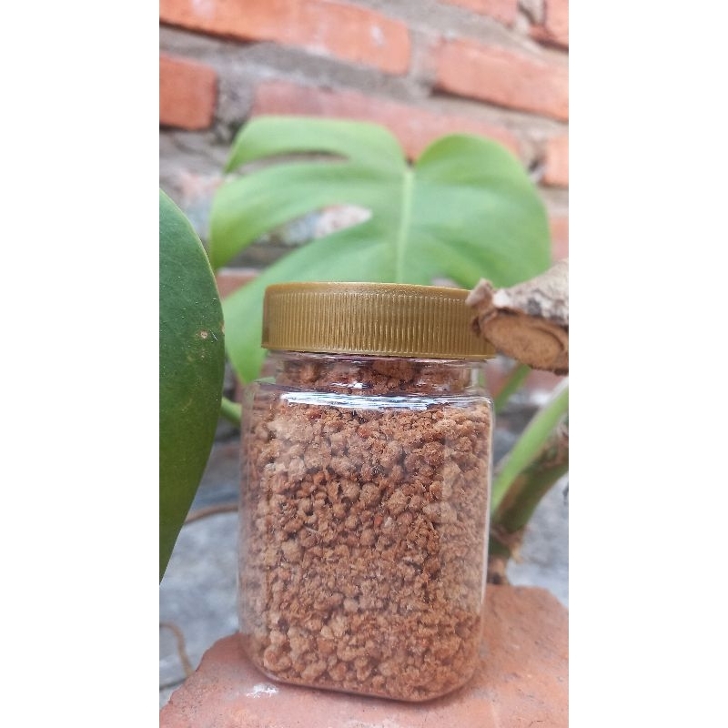 

TERASI SANGRAI MEDAN SIAP PAKAI HOME MADE