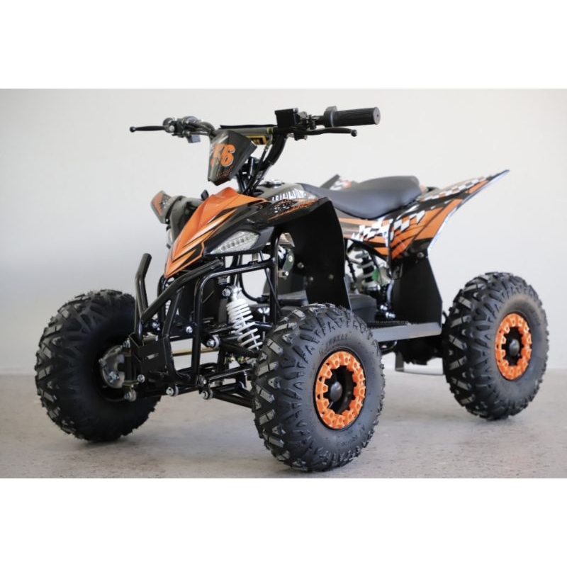 ATV elektrik MEDIUM..BLDC gardan 48volt 550watt
