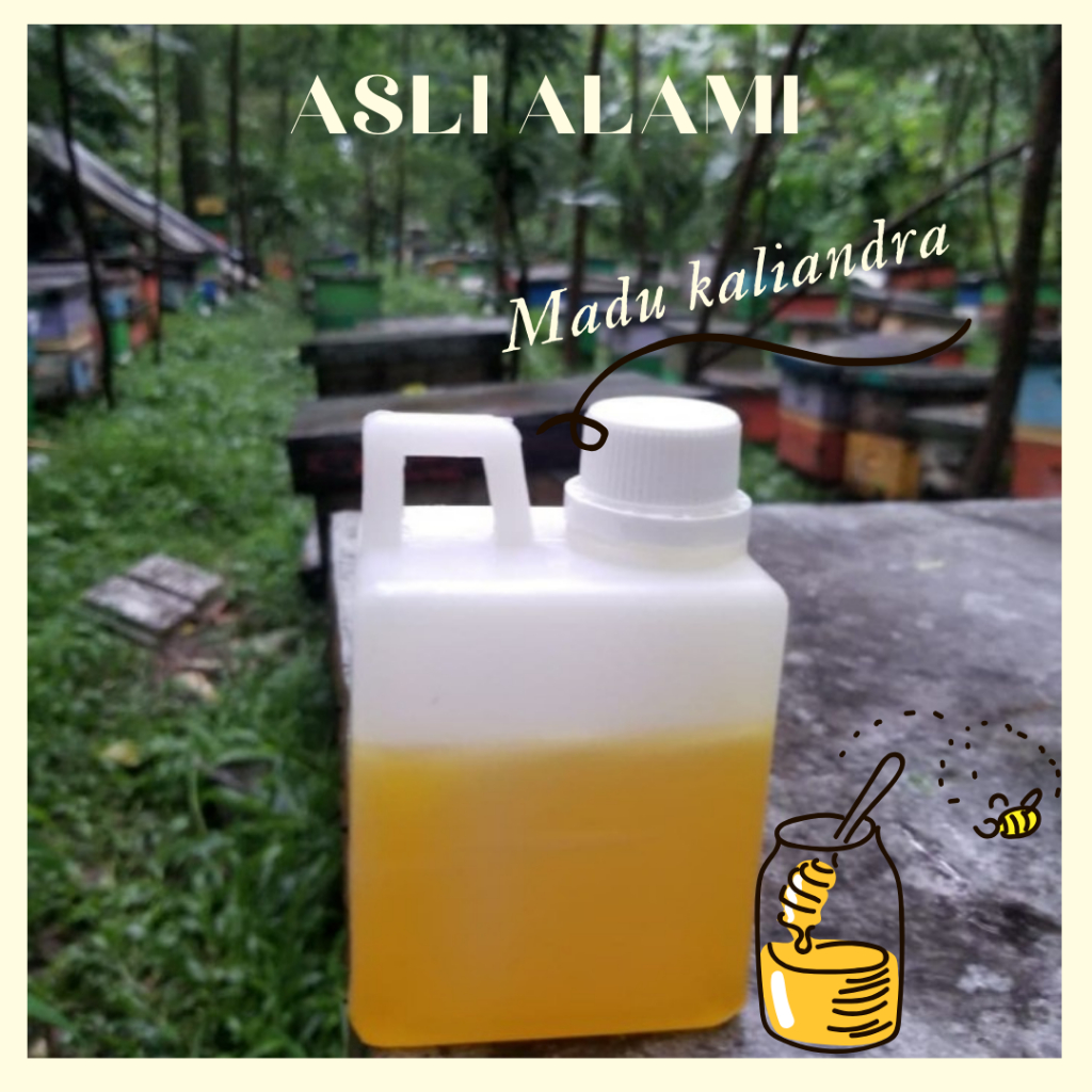 

Asli Alami Madu Kaliandra 500g