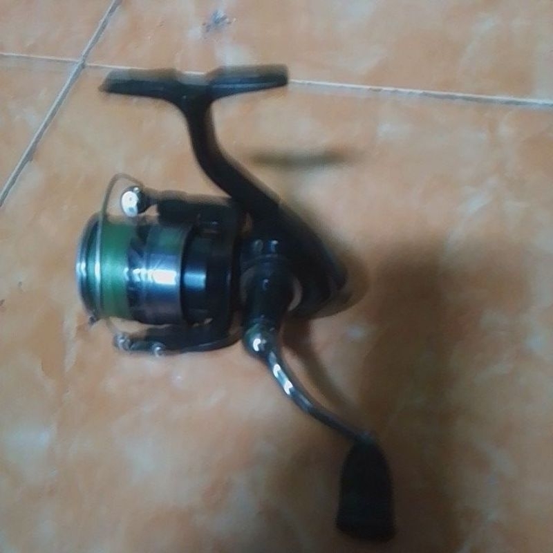 Daiwa 2500