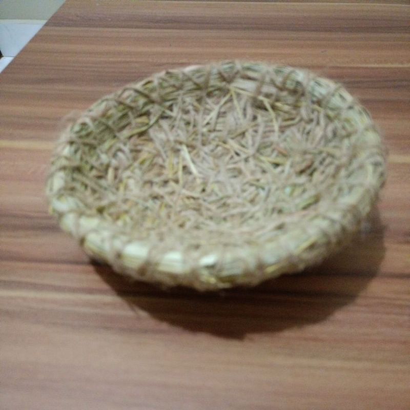 Sarang Burung perkutut