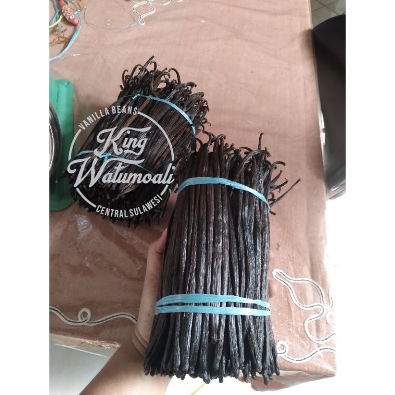 

VANILLA BEANS/ VANILI KERING PLANIFOLIA GRADE A 500gr, 18CM