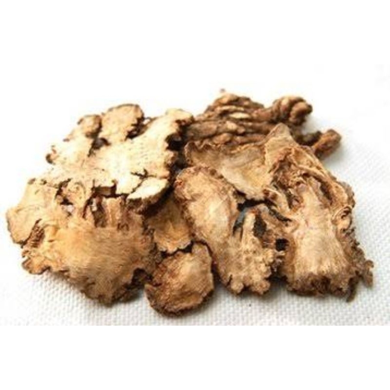 

100gr Herbal Gao Ben 藁本 Ligustici Rhizoma Radices Ligustici Sinensis