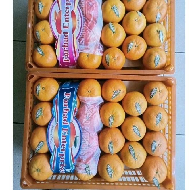 Indukbuah Buah Jeruk Mandarin Kino 1 Keranjang ±10kg