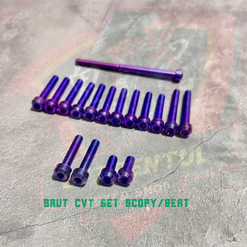 Baut cvt titanium scopy beat original vietnam