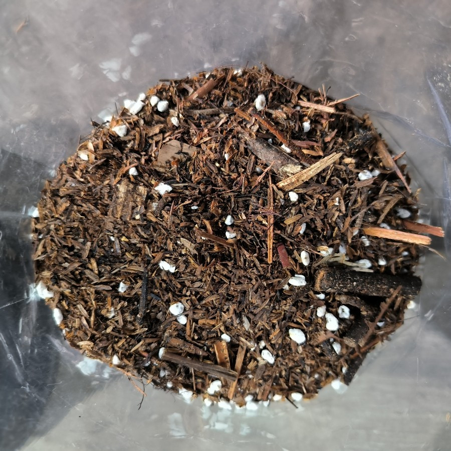 MEDIA Fermentasi AGLONEMA / PHILO (Perlite,Sekam,Andam,Kaliandra) 1 Kg