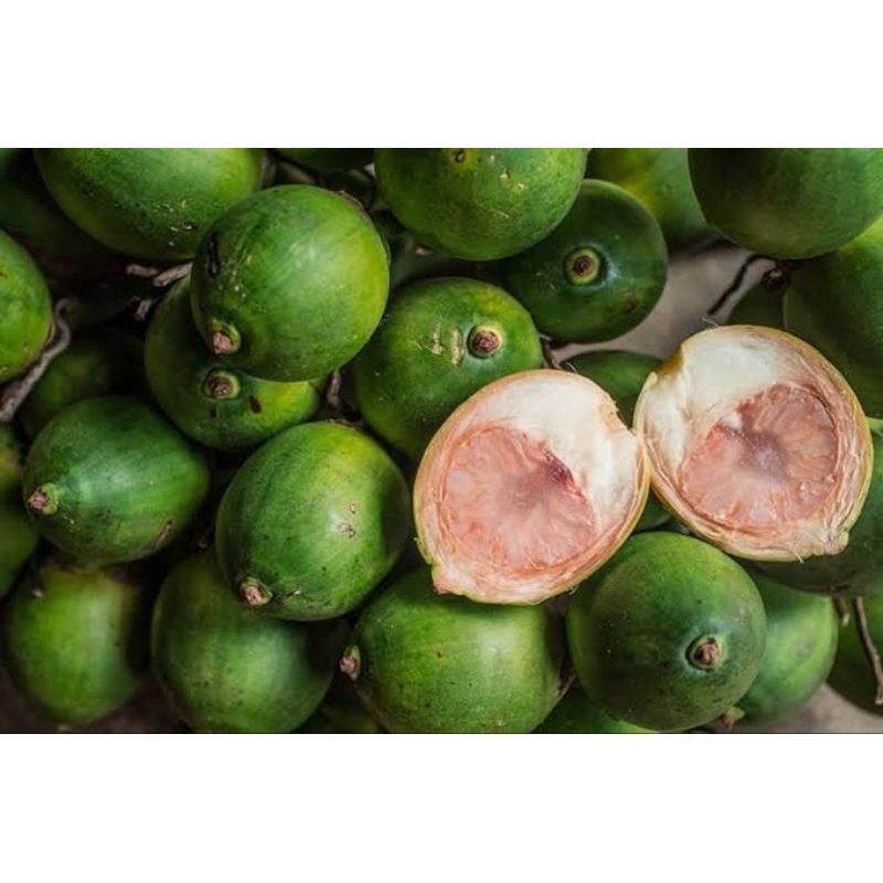 

[TERLARIS] PINANG MUDA / PINANG HIJAU FRESH/KG
