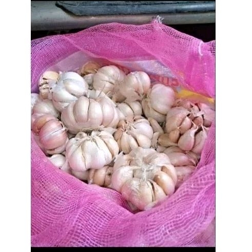 

bawang
