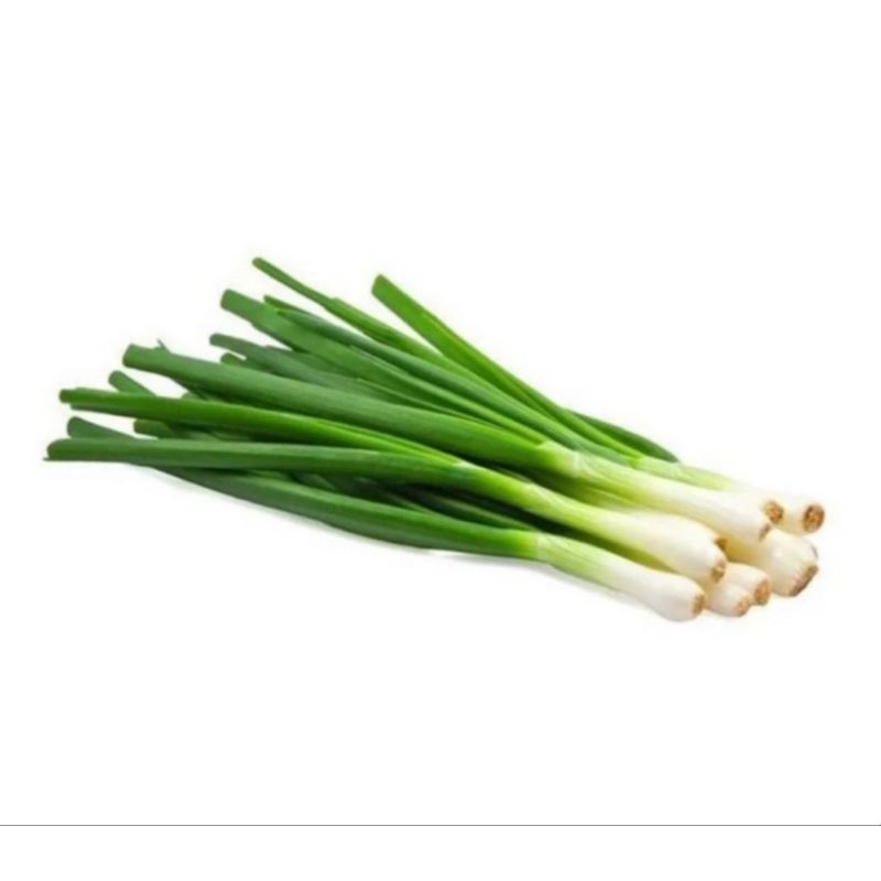 

daun bawang/bawang daun