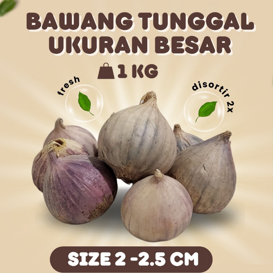 

WQBM6334 Free Ongkir Bawang Putih Tunggal Lanang Besar 1KG