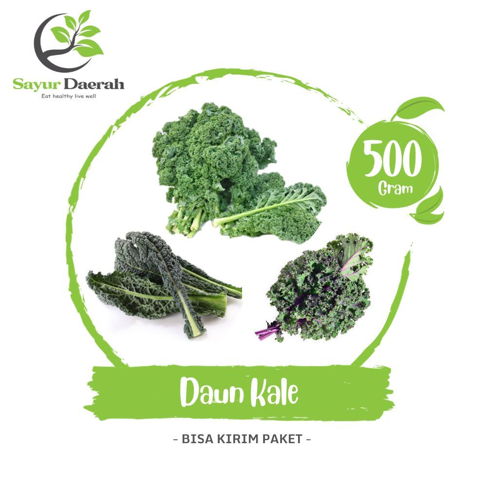 

Daun Kale Curly Green Red Toscano 500 Gr | Sayur Daerah