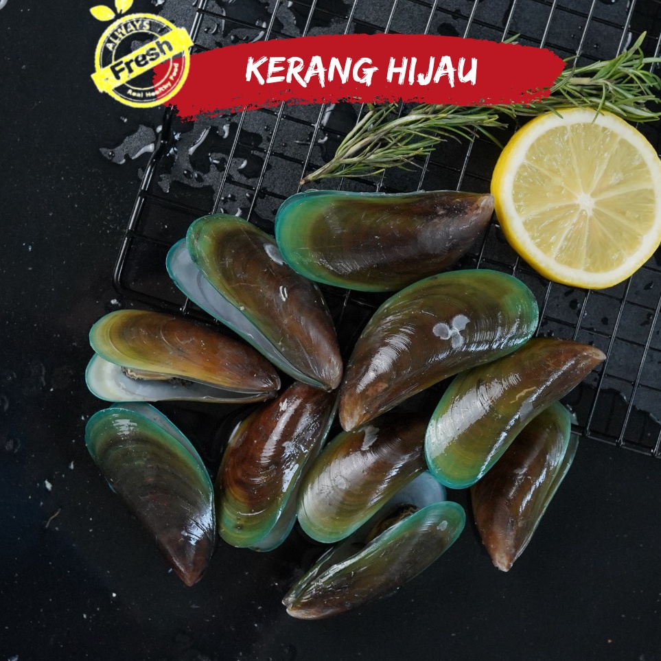 

KKCC115 Kerang Hijau ijo fresh 1kg