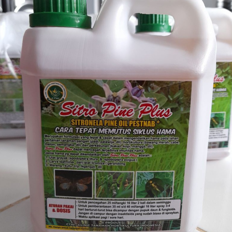 Big Sale Sitro Pine Plus CTHI 1L Home Industri D9B