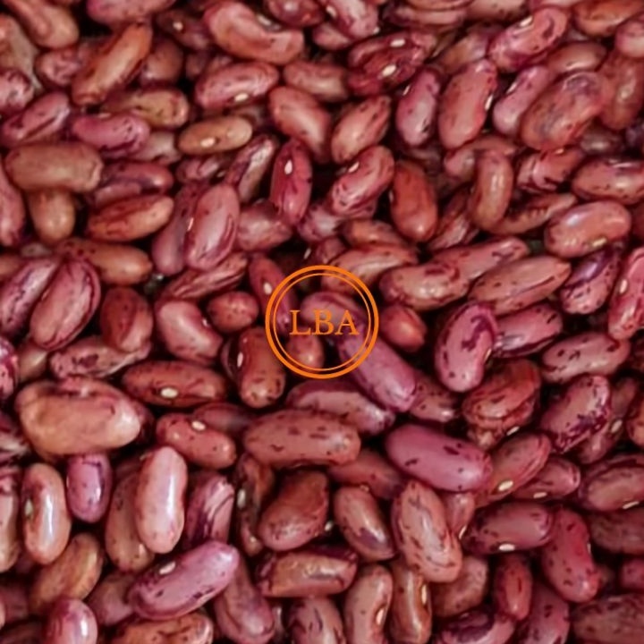 

SHMJ161 FSASH SALE Kacang Merah JOGO 1 Kg