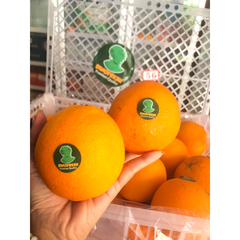

Jeruk Sunkist Navels Dinofresh size 56/kg