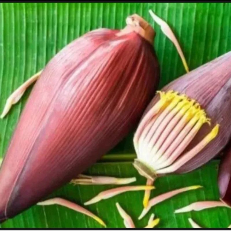 

jantung pisang manggala herbal