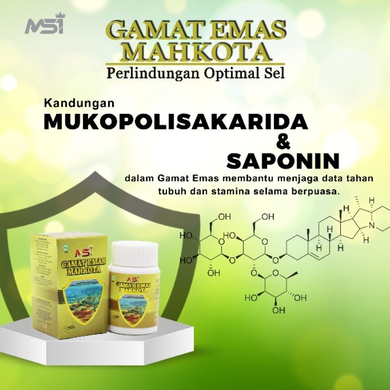 Gamat Emas Mahkota MSI