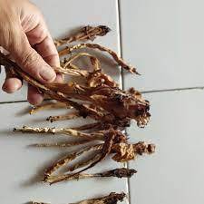 

bunga kecubung wulung kering isi 25
