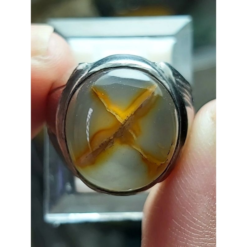 Tapak Jalak Srigunting