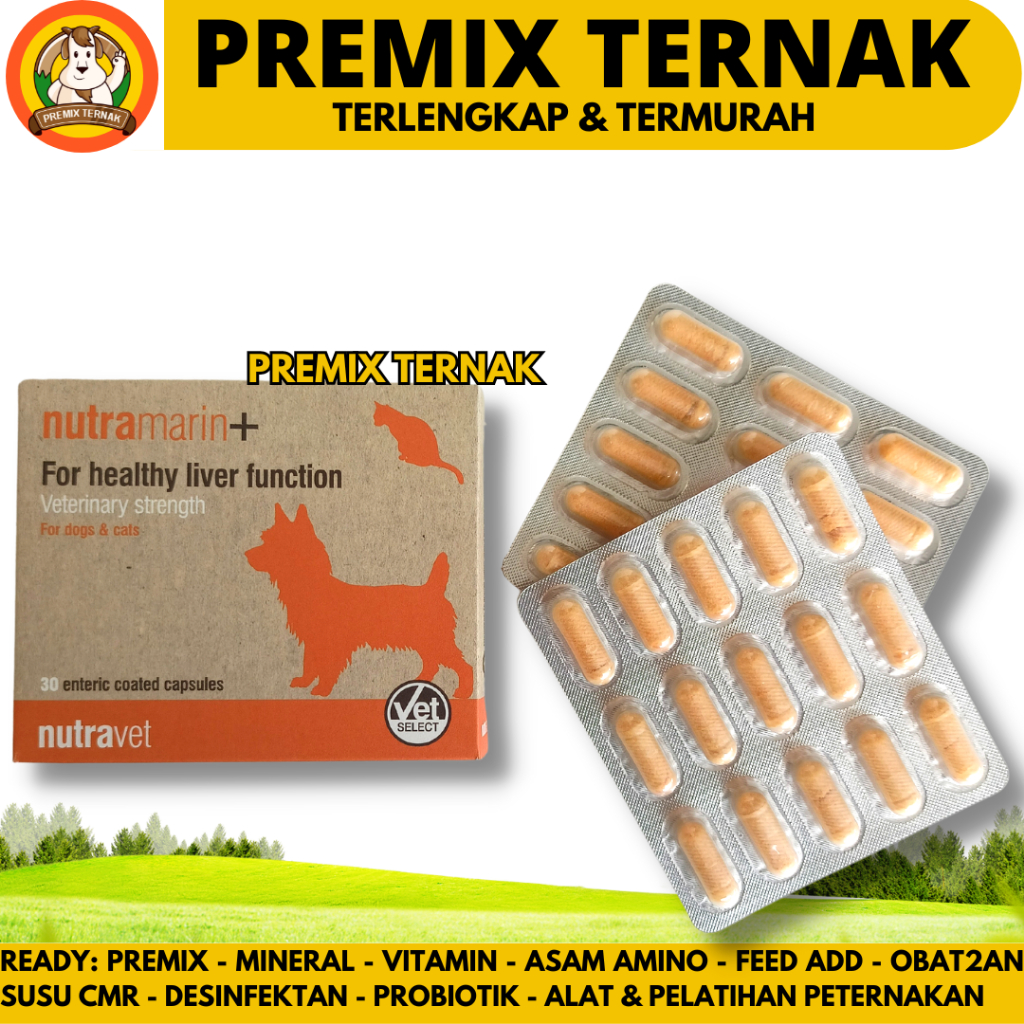 NUTRAMARIN PLUS 1 KAPSUL - Obat Gangguan Liver Hati untuk Kucing & Anjing / Pengganti Samylin & Zent